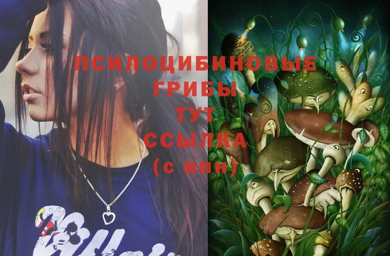 Галлюциногенные грибы MAGIC MUSHROOMS  Кимры 